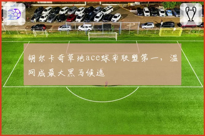 胡尔卡奇草地ace球率联盟第一，温网成最大黑马候选