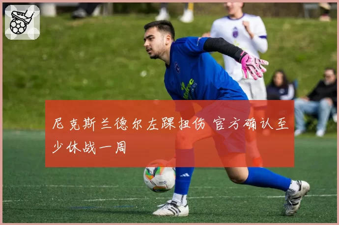 尼克斯兰德尔左踝扭伤 官方确认至少休战一周