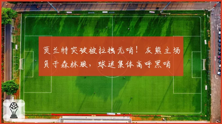 莫兰特突破被拉拽无哨!灰熊主场负于森林狼,球迷集体高呼黑哨