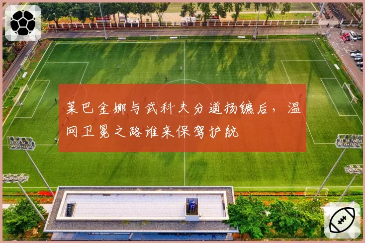 莱巴金娜与武科夫分道扬镳后,温网卫冕之路谁来保驾护航