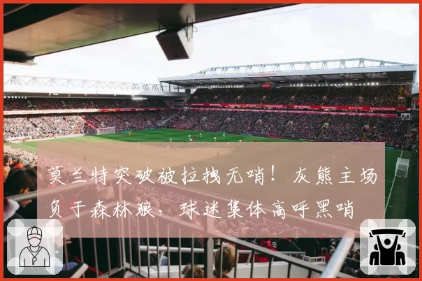 莫兰特突破被拉拽无哨!灰熊主场负于森林狼,球迷集体高呼黑哨