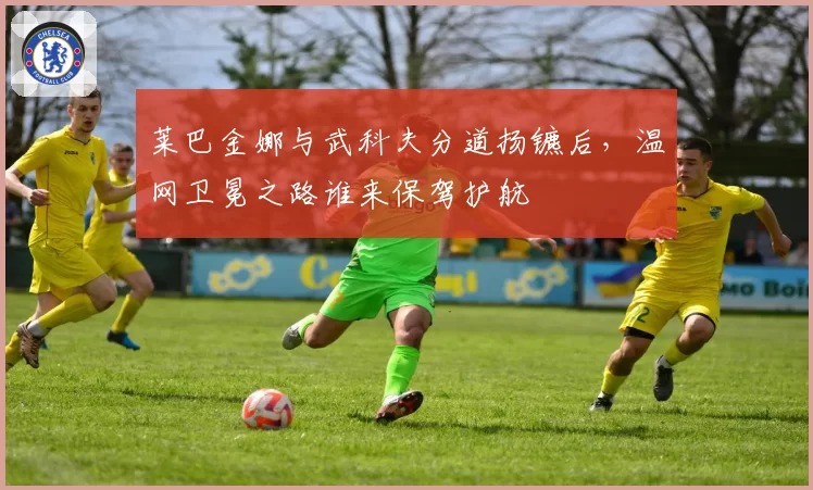 莱巴金娜与武科夫分道扬镳后,温网卫冕之路谁来保驾护航