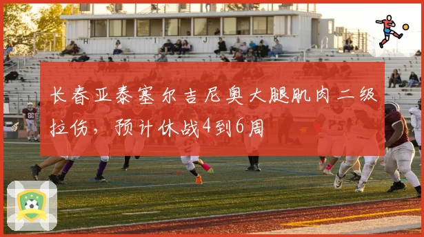 长春亚泰塞尔吉尼奥大腿肌肉二级拉伤,预计休战4到6周